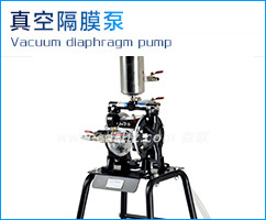 線條往復(fù)噴漆機真空隔膜泵.jpg 線條往復(fù)噴漆機真空隔膜泵.jpg
